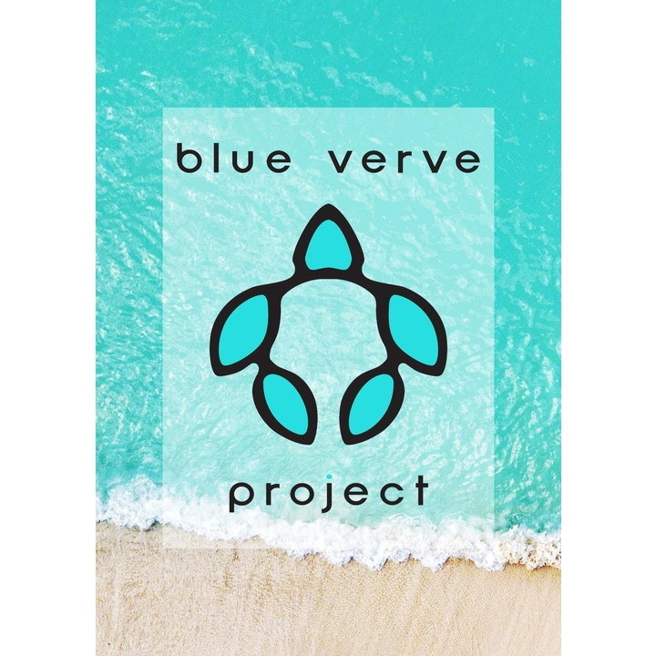 Blue Verve Project logo
