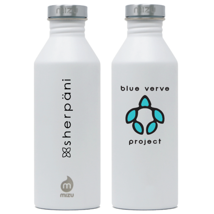 stainless steel water bottle with Blue Verve Project logo in white colorway